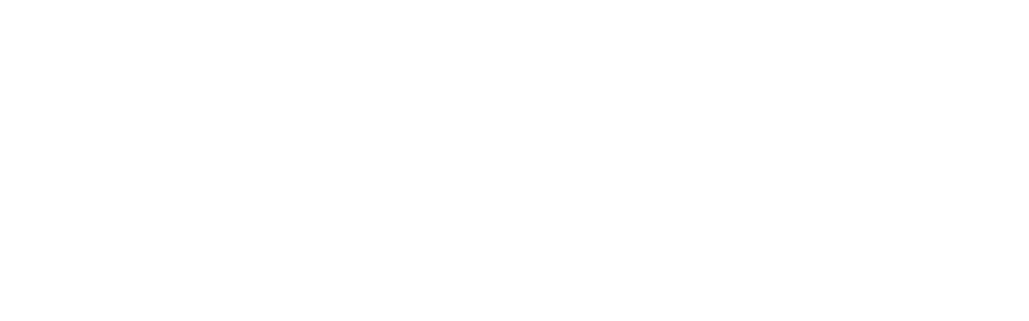 YouNameItShop Logo